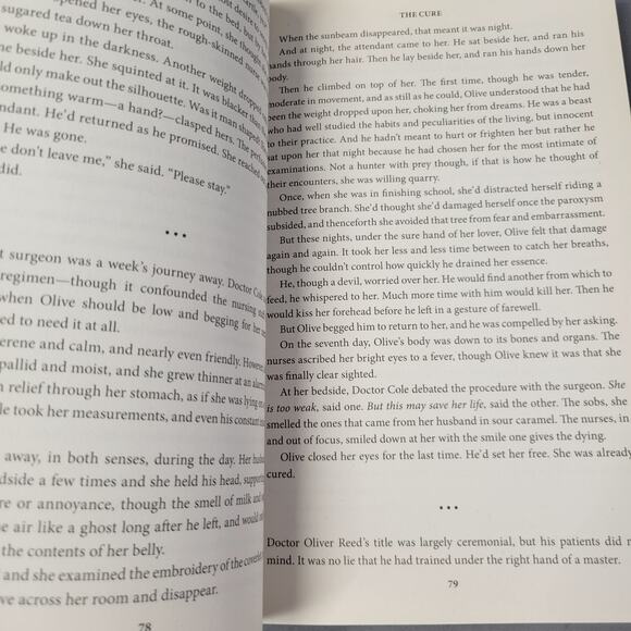 Handsome Devil Stories of Sin & Seduction Book Paperback 2013 - Picture 5 of 14